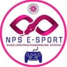 NPS E-sports 